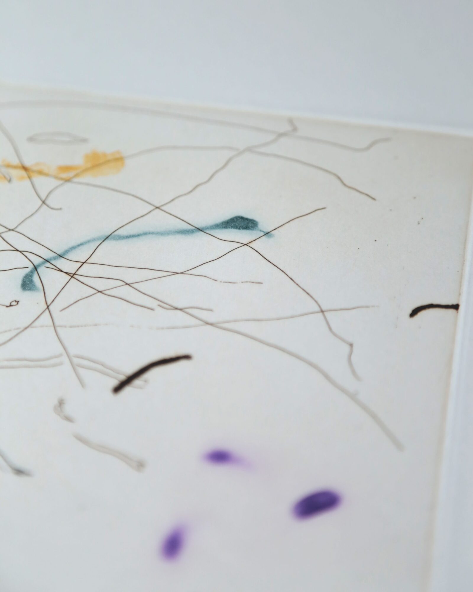 CHRIS HUEN (b. 1991) Joel, Tess and Balltsz Etching print_003