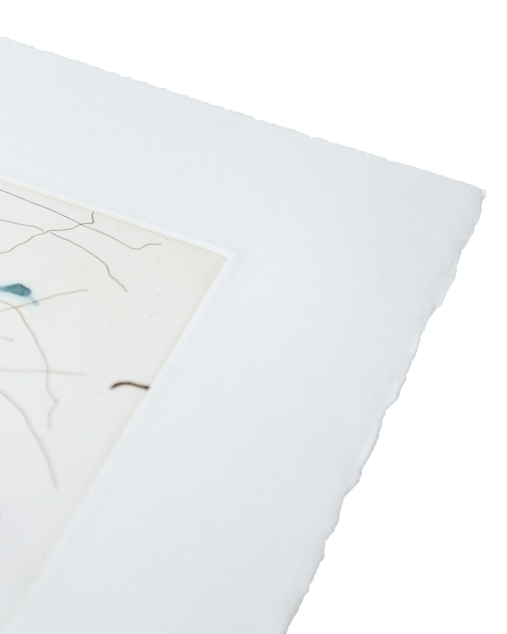 CHRIS HUEN.  Joel, Tess and Balltsz Etching print, 2022