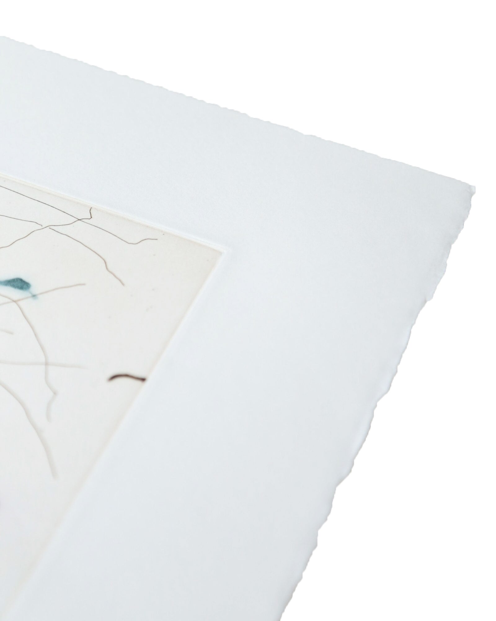 CHRIS HUEN.  Joel, Tess and Balltsz Etching print, 2022